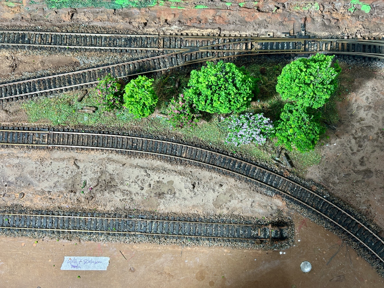 Terreno finalizado com grama, vegetação e árvores